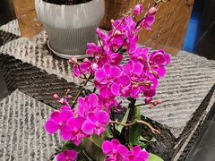 -黔蘑菇四季餐厅(观山湖店)