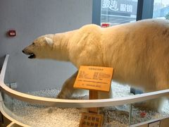 -魏客咖啡(中铁中心店)