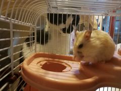 -贝利宠物医院·骨科·眼科·肿瘤转诊中心(南坪诊疗中心)
