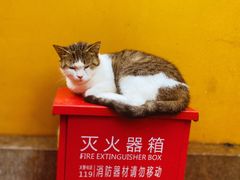 -西园戒幢律寺
