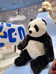 -奈尔宝家庭中心·亲子餐厅(北京东坝万达店)