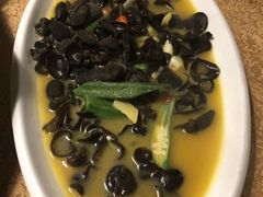 -陈生记黑鱼馆·20年活鱼现杀(宁波鼓楼店)