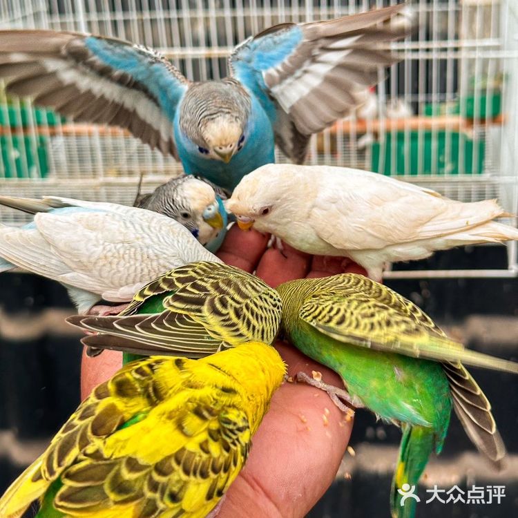 北京周末遛娃好去处,捞鱼挖沙子吃自助