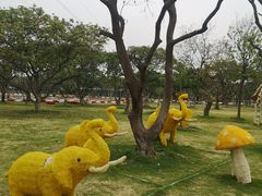 -长洲岛都市农业公园