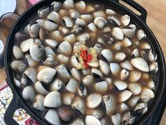 -顺德哥卜卜贝(旗舰店)