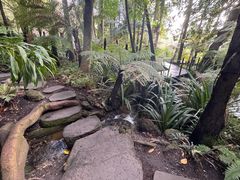 -墨尔本皇家植物园