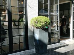 -Madeleine玛德琳(永平里店)