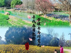 -乌村