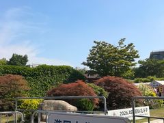 -嘉定紫藤园