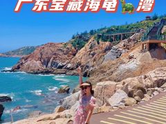 -广东惠东海龟国家级自然保护区