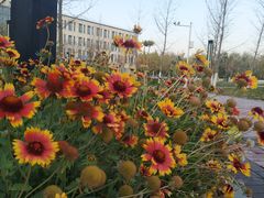 -北京国家会计学院