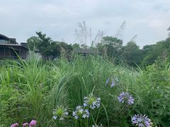 -木守西溪溪隐餐厅