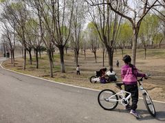 -东郊湿地公园