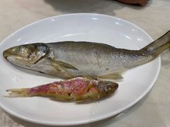 -长平老姿娘夜粥(平东一街店)