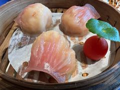 -点都德·毕德寮