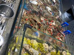 -半岛听涛蒸汽海鲜自助(K11店)