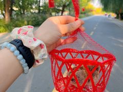 -艾山风景名胜区