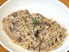 鸡汁牛肝菌烩饭-爱樂咖啡(青年体育公园店)