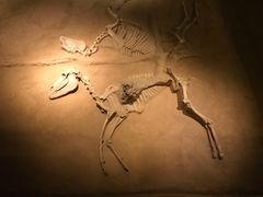 -洛阳周王城天子驾六博物馆