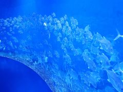 -波塞冬海底世界