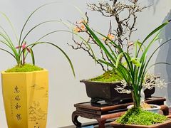 -沧浪亭