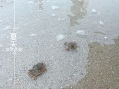 -碧海银沙景区