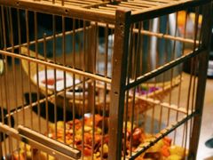 鸟笼掌中宝-新悦·霞浦海鲜生(上下杭店)