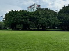 -南宁南湖公园