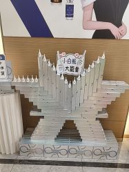 -雅曼妮spa美容养生