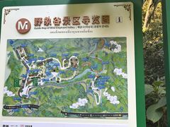 -野象谷景区