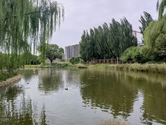 -将府公园