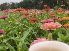 -汉长安城未央宫国家考古遗址公园