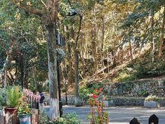 -国生茶庄·地道农家菜团建活动