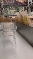 点击看大图 -金棕榈