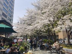 -玛格萝妮比萨屋(四平店)