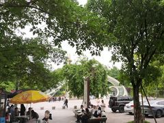 -南山植物园