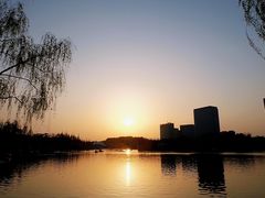 -大宁郁金香公园-停车场