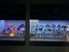 -湖南省地质博物馆