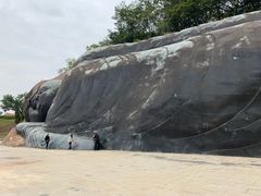 -三水森林公园