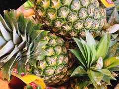 -元初食品(幸福e家小区店)