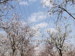 -广东花都湖国家湿地公园