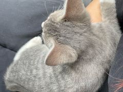 -联合动物医院(光谷诊疗中心)