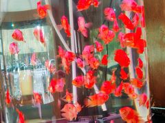 -上島咖啡(安亭店)