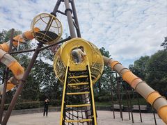 -枫香湖儿童公园