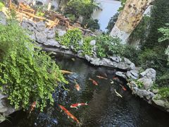 -鲤院·新中式美学·庭院餐厅(夫子庙店)