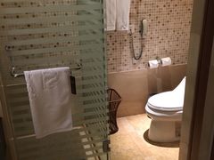 -九华山聚龙大酒店