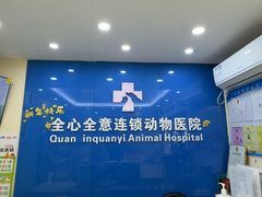 -全心全意连锁动物医院·微创中心·内科急重症·心脏专科(丰管路店)