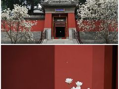 -妙应寺白塔