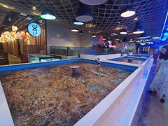 水产区-日进一片海.生腌海鲜火锅.宵夜烧烤(三里屯总店)