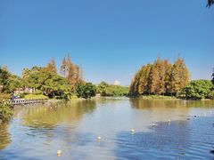 -江心屿景区